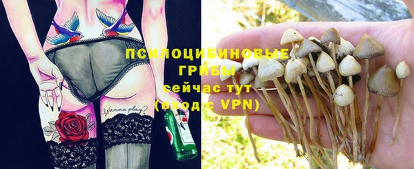 шишки Пролетарск