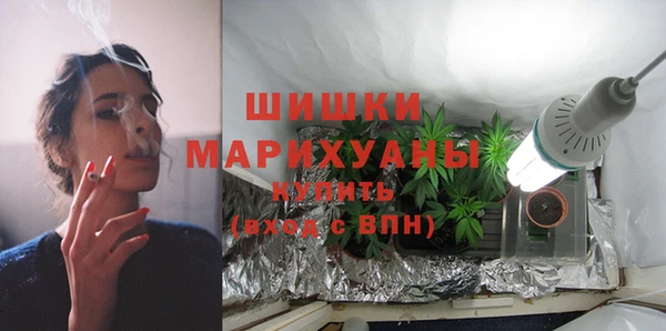 шишки Пролетарск